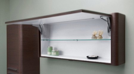 Зеркальный шкаф AM.PM Awe 115 с подсветкой Венге 