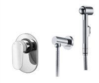 Гигиенический душ WasserKRAFT A15356 со смесителем