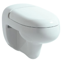 Унитаз подвесной Laufen Florakids 8.2003.1.000.000.1