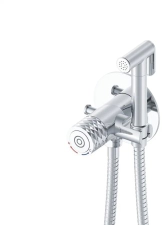 Гигиенический душ со смесителем Rose R225, хром 