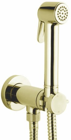 Гигиенический душ Bossini Paloma Brass Mixer Set E37005B.021 со смесителем, золото 