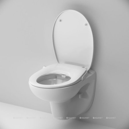 Подвесной унитаз AM.PM Sense CCM741700 