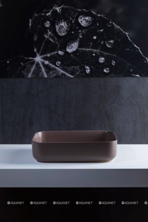 Раковина-чаша Allen Brau Fantasy 50 4.11021.TP Коричневая 