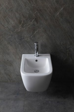 Биде Allen Brau Infinity 4.21006.20 подвесное Белое 