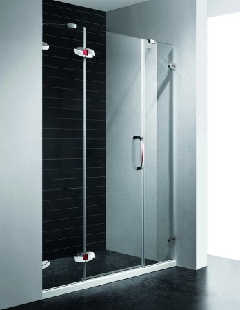 Душевая дверь в нишу RGW Safari SA-01 1900х1950 стекло чистое 