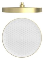 Верхний душ Raglo R452.09.03, золотой сатин