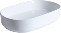 Раковина-чаша Allen Brau Fantasy 55 4.11022.21 Белая матовая