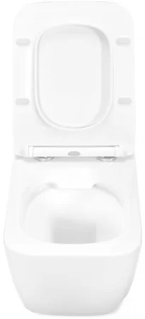 Подвесной безободковый унитаз с сиденьем микролифт Rea Martin REA-C8006 