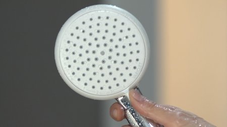 Ручной душ Hansgrohe Crometta 26824400 Хром Белый 