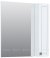 Зеркало-шкаф Aquanet Эрвин 80 белый 