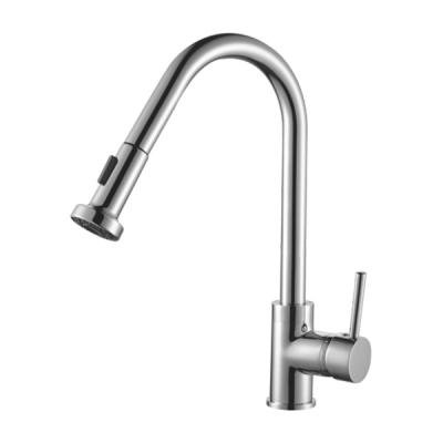 Смесители для кухни Ganzer Rein GZ16023 Хром 
