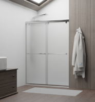 Душевая дверь RGW TO-11