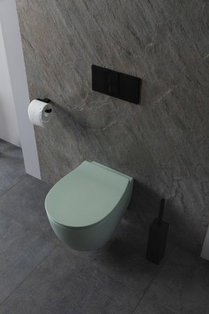 Унитаз Allen Brau Fantasy 4.11004.MT подвесной Мятный без сиденья 