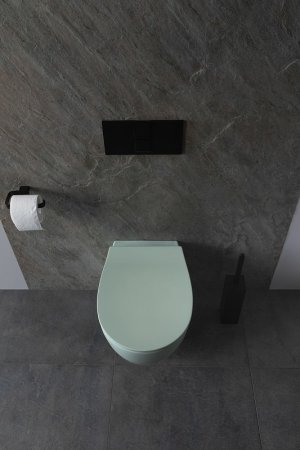 Унитаз Allen Brau Fantasy 4.11004.MT подвесной Мятный без сиденья 