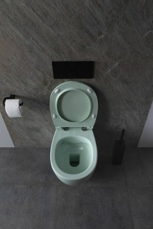 Унитаз Allen Brau Fantasy 4.11004.MT подвесной Мятный без сиденья 