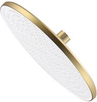 Верхний душ Raglo R451.50.03, сатин золотой