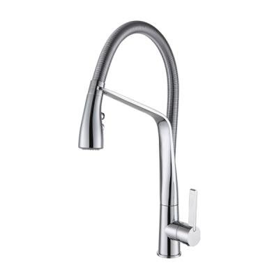 Смесители для кухни Ganzer Rein GZ16028 Хром 