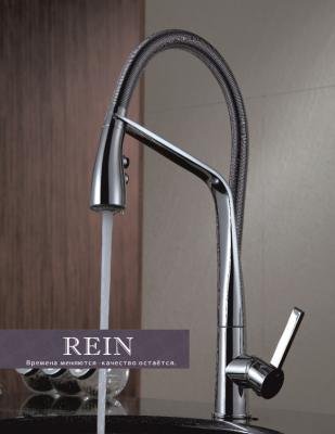 Смесители для кухни Ganzer Rein GZ16028 Хром 