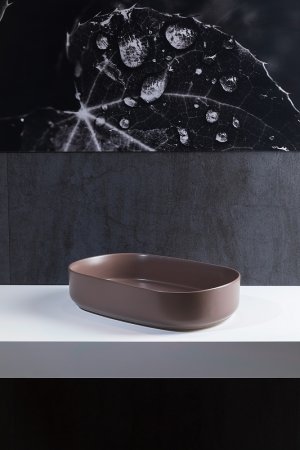 Раковина-чаша Allen Brau Fantasy 55 4.11022.TP Коричневая 