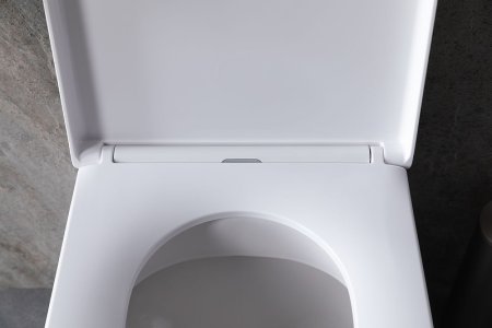 Унитаз Allen Brau Infinity 4.21003.20 приставной Белый без сиденья 