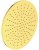 Верхний душ Ideal Standard Ideal Rain A5803A2 Brushed Gold 