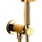 Гигиенический душ Bossini Nikita Mixer Set E37008B со смесителем золото