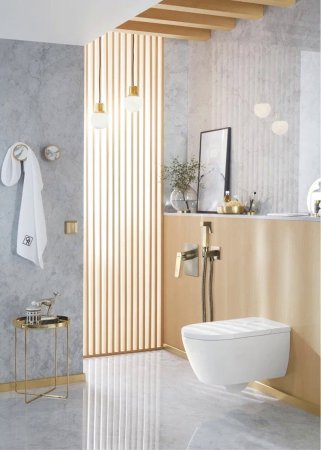 Гигиенический душ со смесителем Rose R1605Q, бронза 