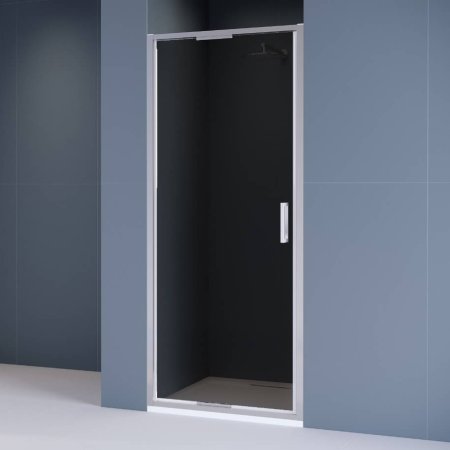 Душевая дверь RGW SV-05 1000 