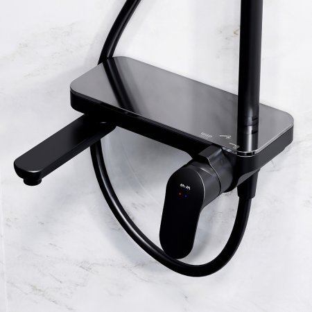 Душевая система AM.PM Like F0780722 Черная матовая 