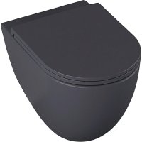 Унитаз Allen Brau Reality 4.32006.AN подвесной Антрацит без сиденья Унитаз Allen Brau Reality 4.32006.AN подвесной Антрацит без сиденья