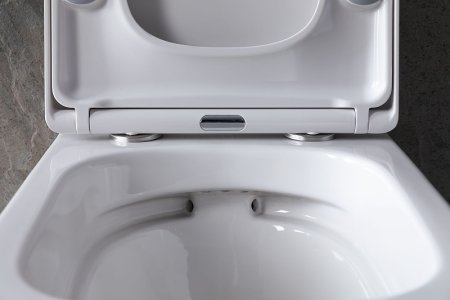 Унитаз Allen Brau Liberty 4.33004.20 подвесной Белый без сиденья 