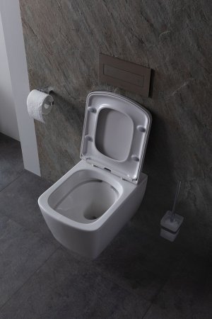 Унитаз Allen Brau Liberty 4.33004.20 подвесной Белый без сиденья 