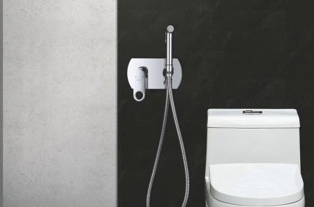 Гигиенический душ со смесителем Rose R205, хром 