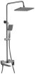Душевая система BELZ B24613-3, вороненая сталь 