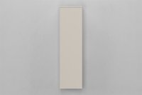 Пенал подвесной зеркало внутри VELVEX Unit 120 шёлк шампань