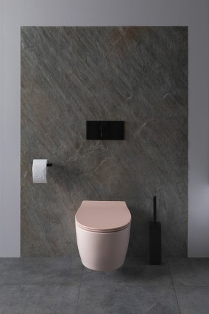 Унитаз Allen Brau Fantasy 4.11004.SM подвесной Розовый без сиденья 