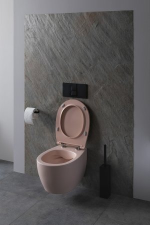 Унитаз Allen Brau Fantasy 4.11004.SM подвесной Розовый без сиденья 