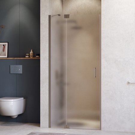 Душевая дверь RGW HO-014Gr 1200 