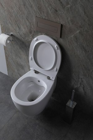 Унитаз биде Allen Brau Fantasy 4.11HC1.20 подвесной Белый без сиденья 