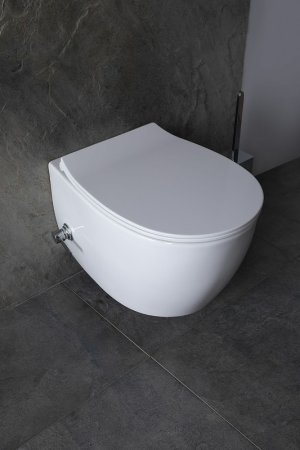 Унитаз биде Allen Brau Fantasy 4.11HC1.20 подвесной Белый без сиденья 