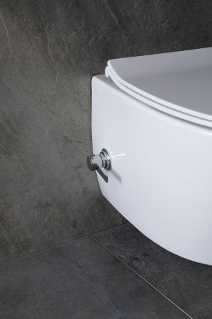 Унитаз биде Allen Brau Fantasy 4.11HC1.20 подвесной Белый без сиденья 