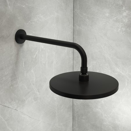 Верхний душ Iddis Optima Home OPH25BPi64 Черный матовый 