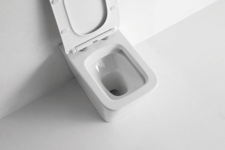 Унитаз приставной CeramaLux 3170 