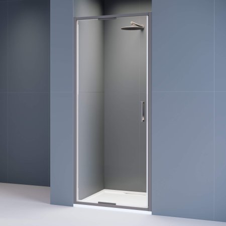Душевая дверь RGW SV-05Gr 1000 