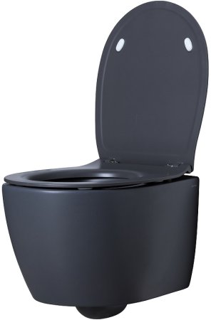 Унитаз Allen Brau Fantasy 4.11004.AN подвесной Антрацит без сиденья 