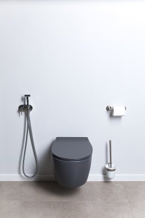 Унитаз Allen Brau Fantasy 4.11004.AN подвесной Антрацит без сиденья 