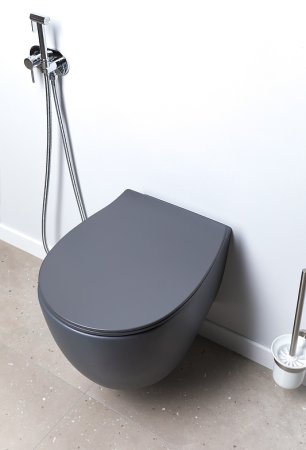 Унитаз Allen Brau Fantasy 4.11004.AN подвесной Антрацит без сиденья 