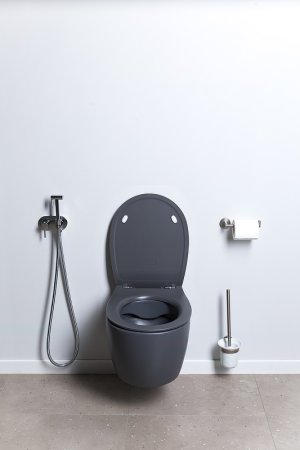 Унитаз Allen Brau Fantasy 4.11004.AN подвесной Антрацит без сиденья 