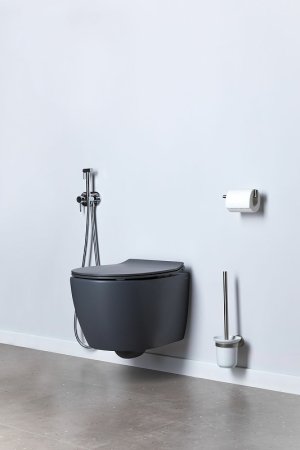 Унитаз Allen Brau Fantasy 4.11004.AN подвесной Антрацит без сиденья 