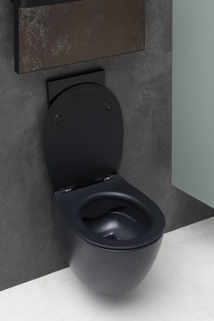 Унитаз Allen Brau Fantasy 4.11004.31 подвесной Черный матовый без сиденья 